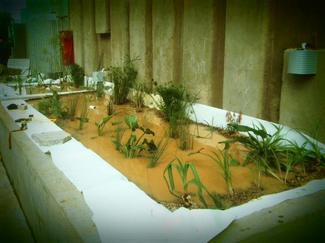 Urban Landscaping