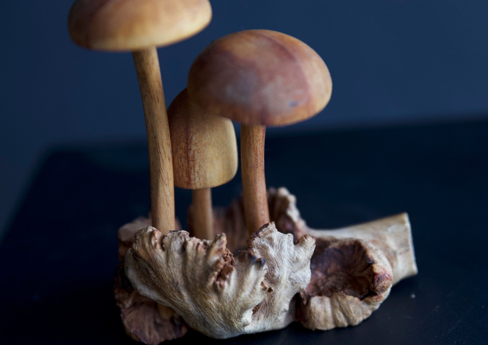 Carved wooden Mushrooms Sculpture - Short Round Top