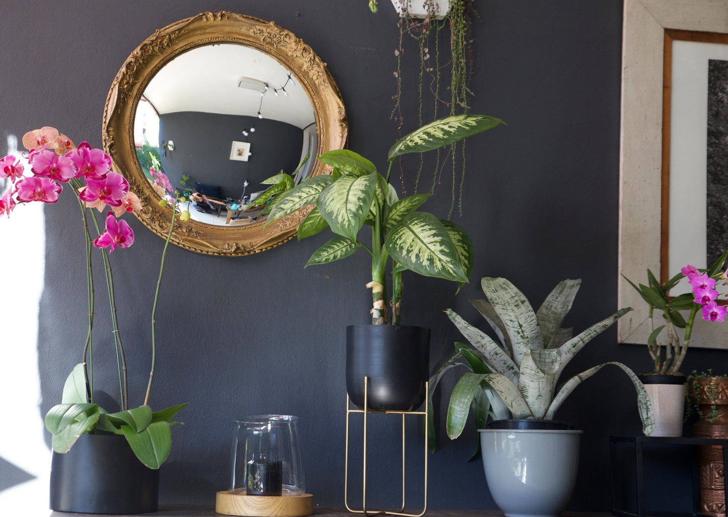 Vintage Molded Mirror Frame with Convex Exit Fisheye Mirror Upcycled