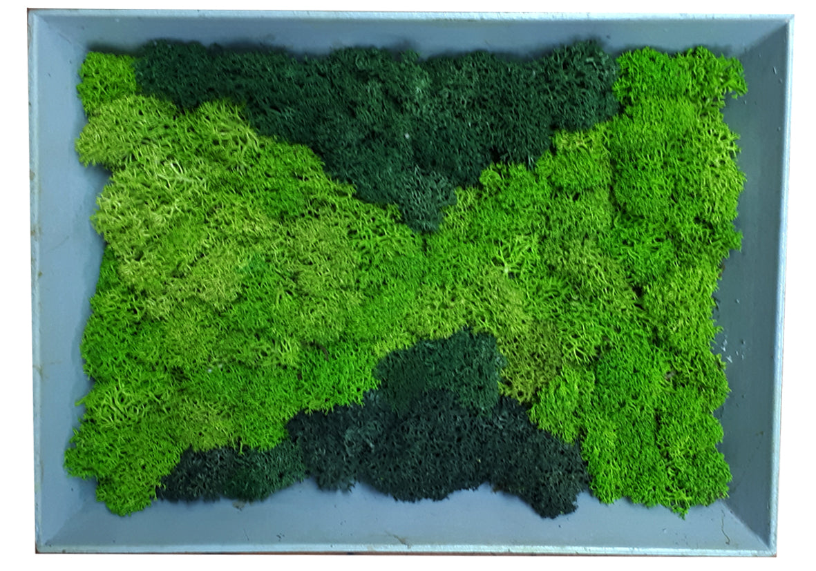 Moss picture frame