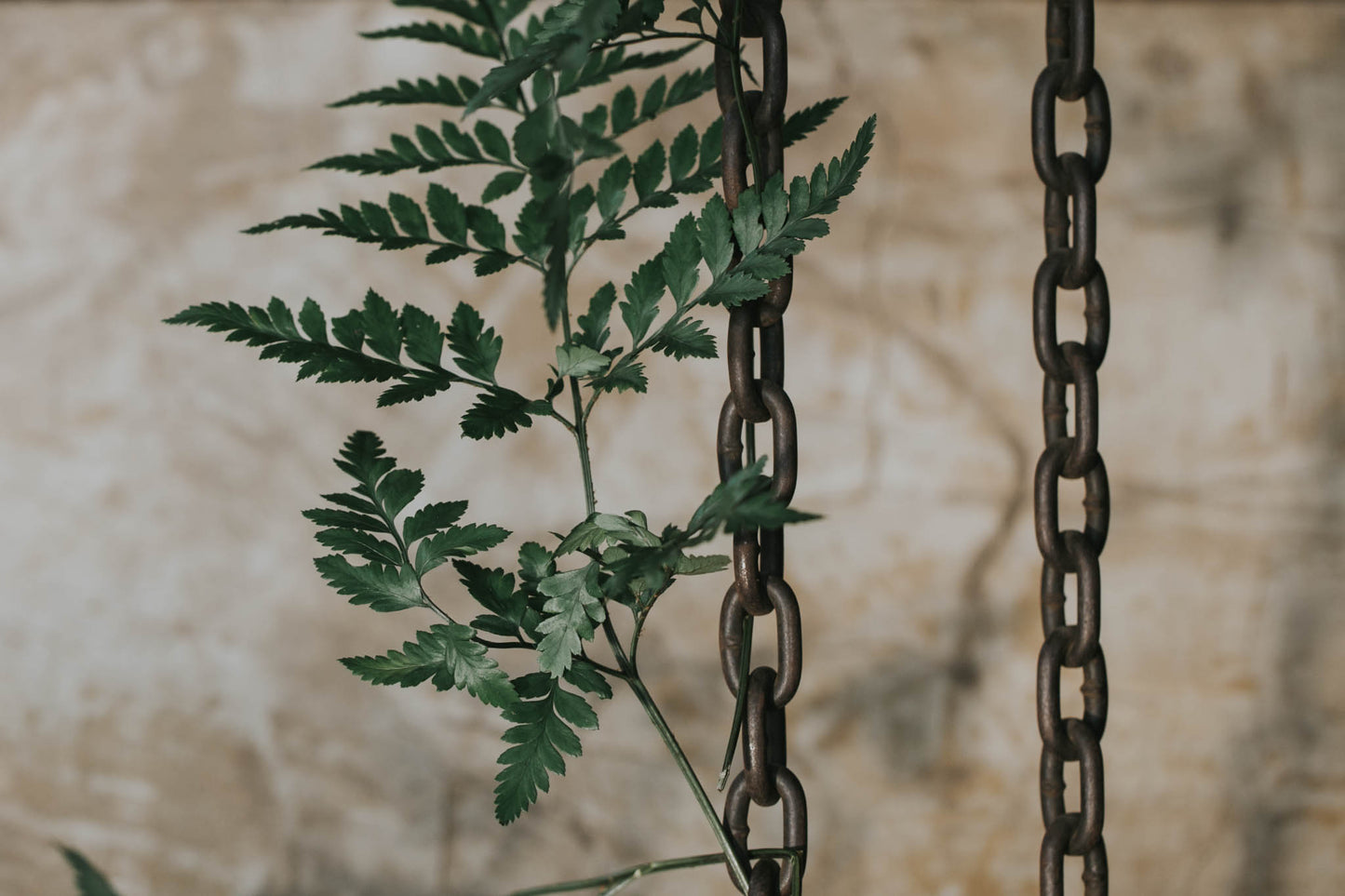 Decor styling