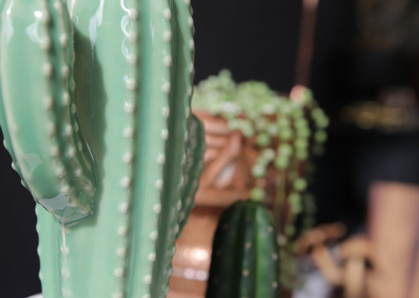 Ceramic Cactus and Pot plant White and Green  .JPG