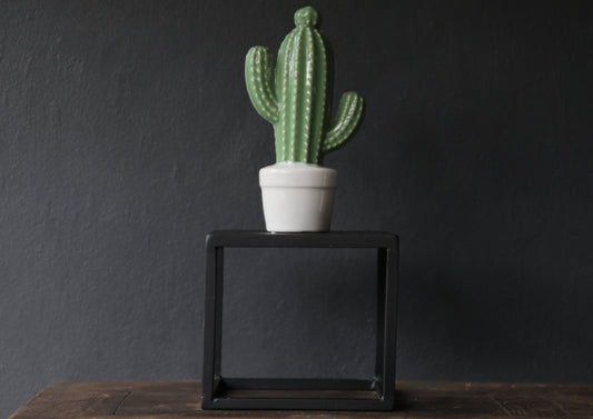 Ceramic Cactus and Potplant White and Green Closeup