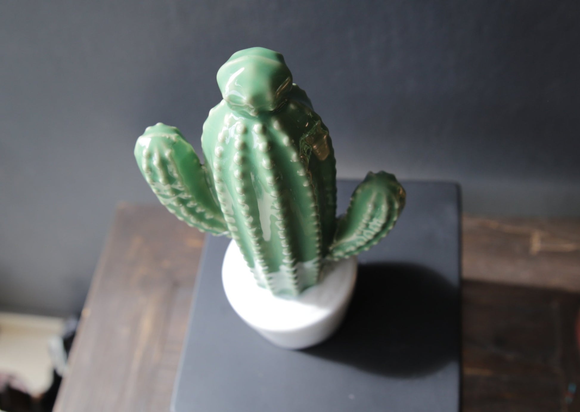 Ceramic Cactus and Pot plant White and Green .JPG