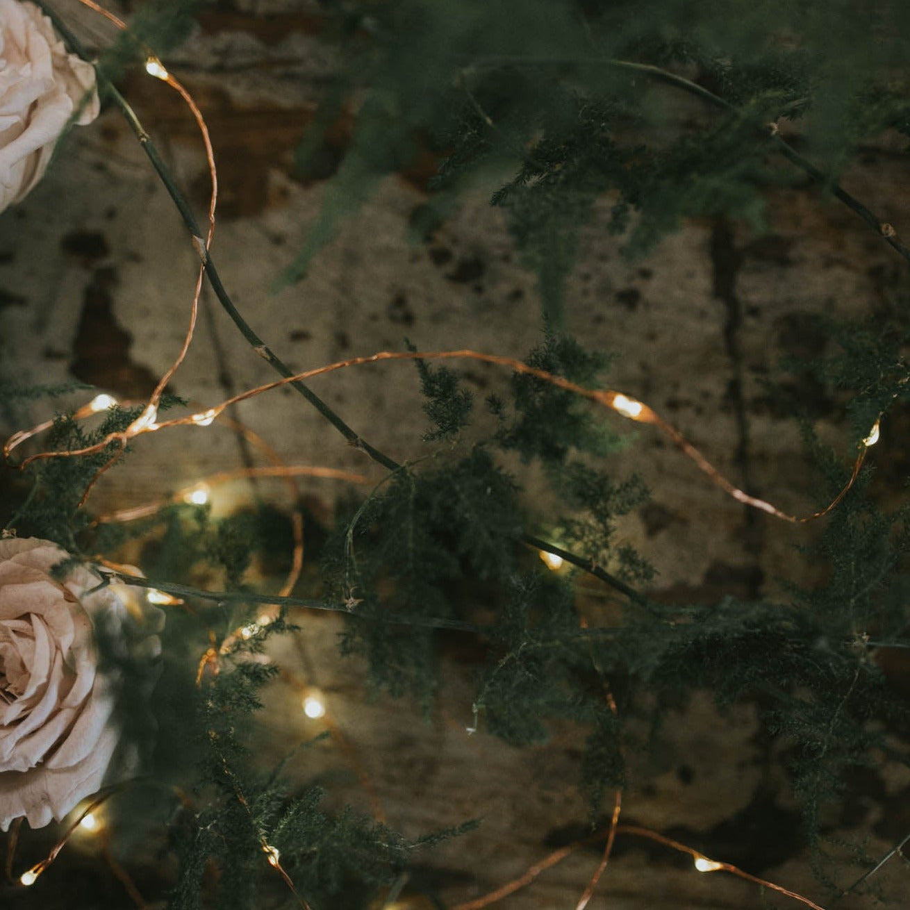 Wire Fairy Lights