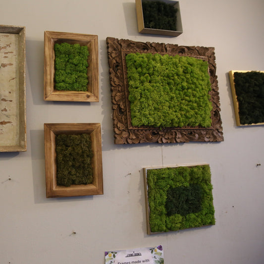 Rental - Moss Wall Frames