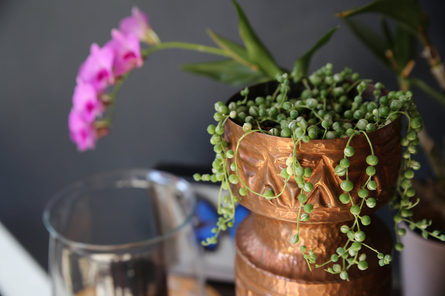 unique detailed copper pot plant