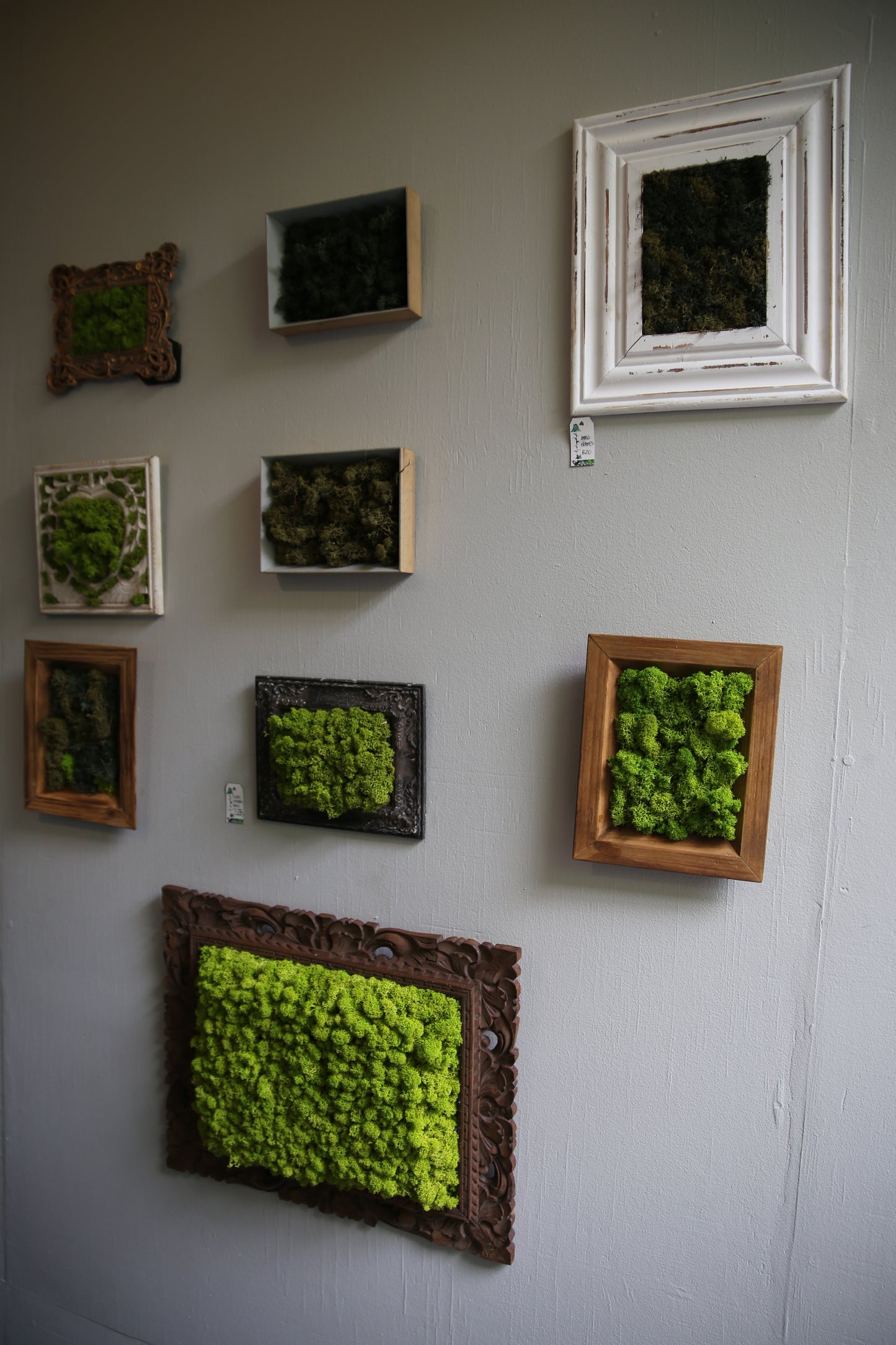 Rental - Moss Wall Frames