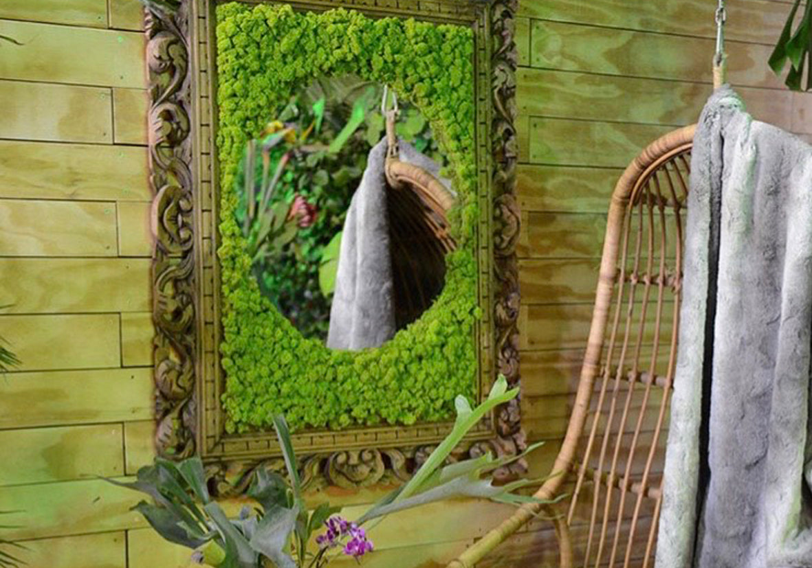 Moss picture frame