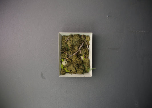 Moss Painting - Framed Picture with Ever-Moss, Forest twigs and Seashells