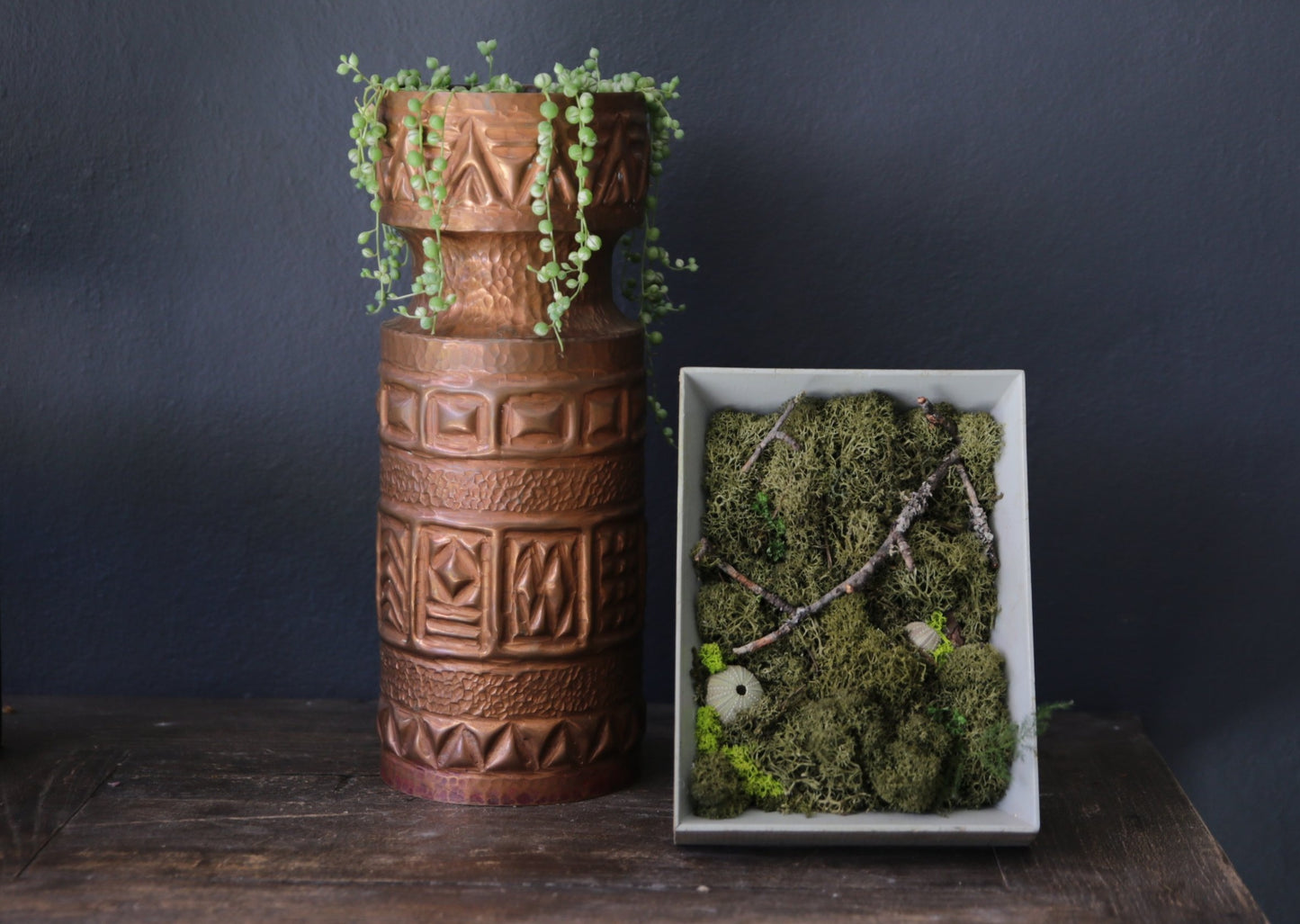 Moss Painting - Framed Picture with Ever-Moss, Forest twigs and Seashells