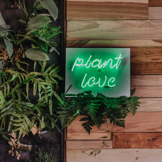 Rental - Neon Sign "Plant Love"