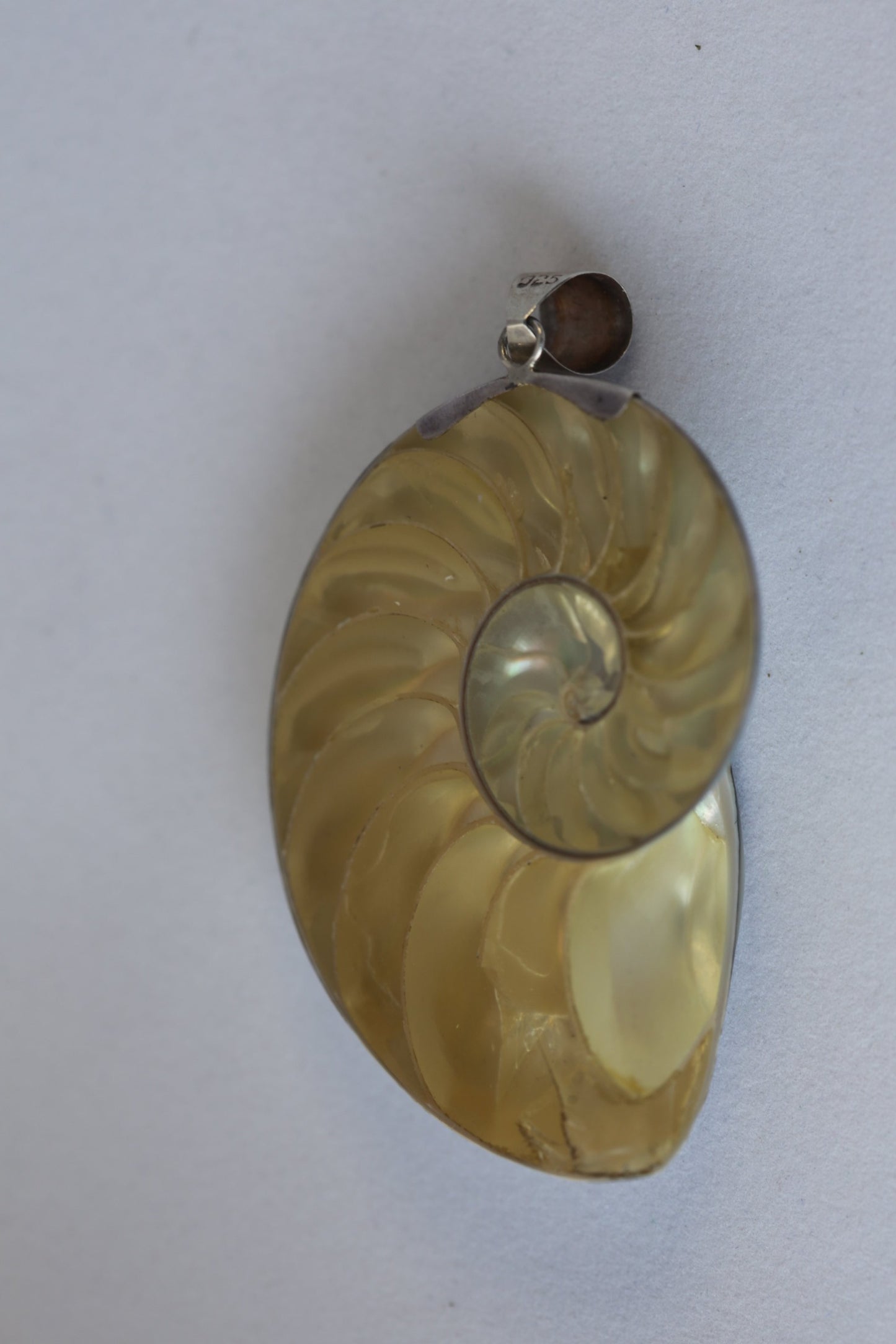 Mother of Pearl Seashell Pendantcast with925SilverDetails