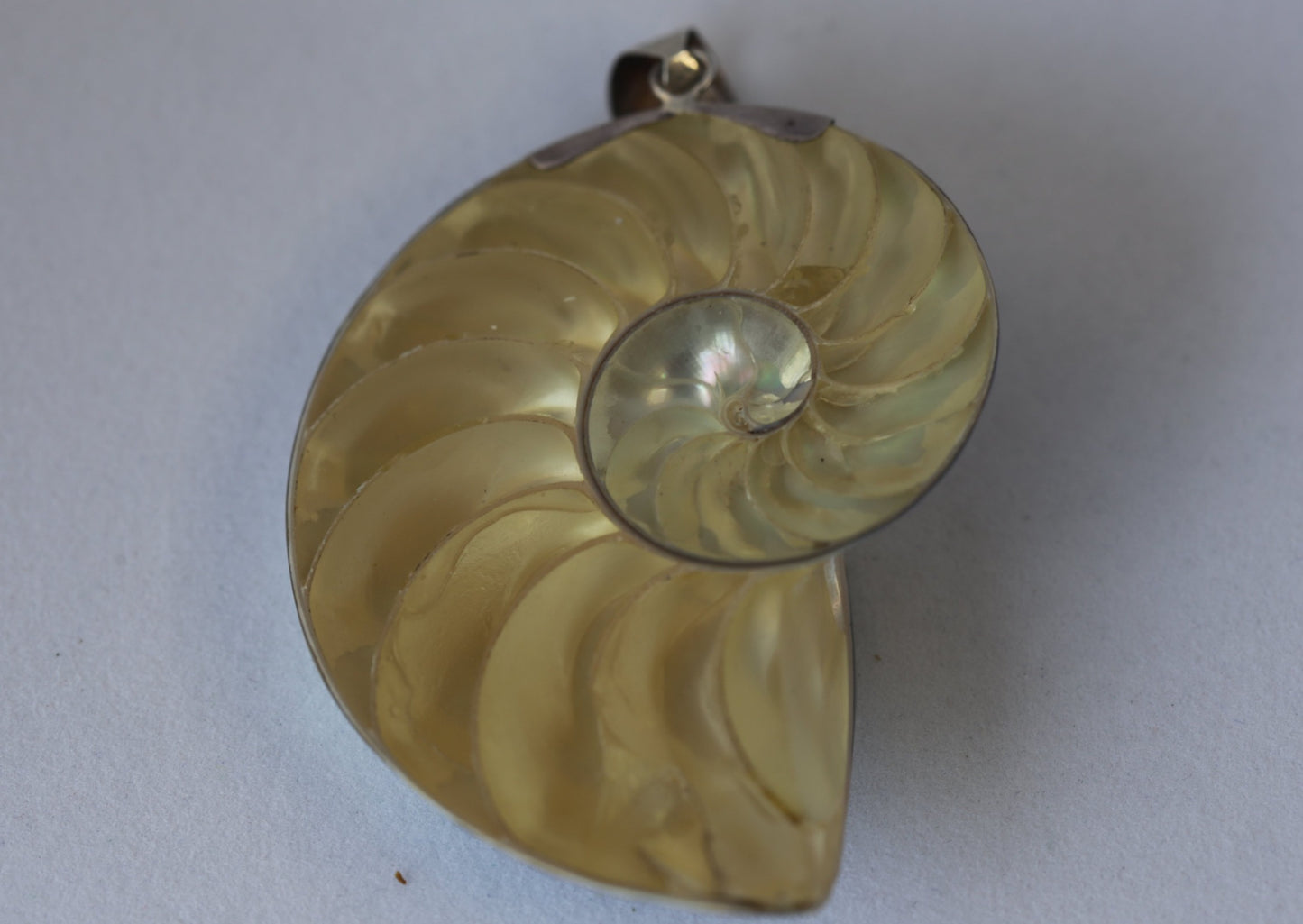 Mother of Pearl Seashell Pendant cast with925SilverDetails