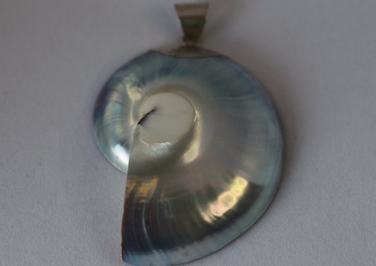 Mother of Pearl Seashell Pendantcast with925SilverDetails