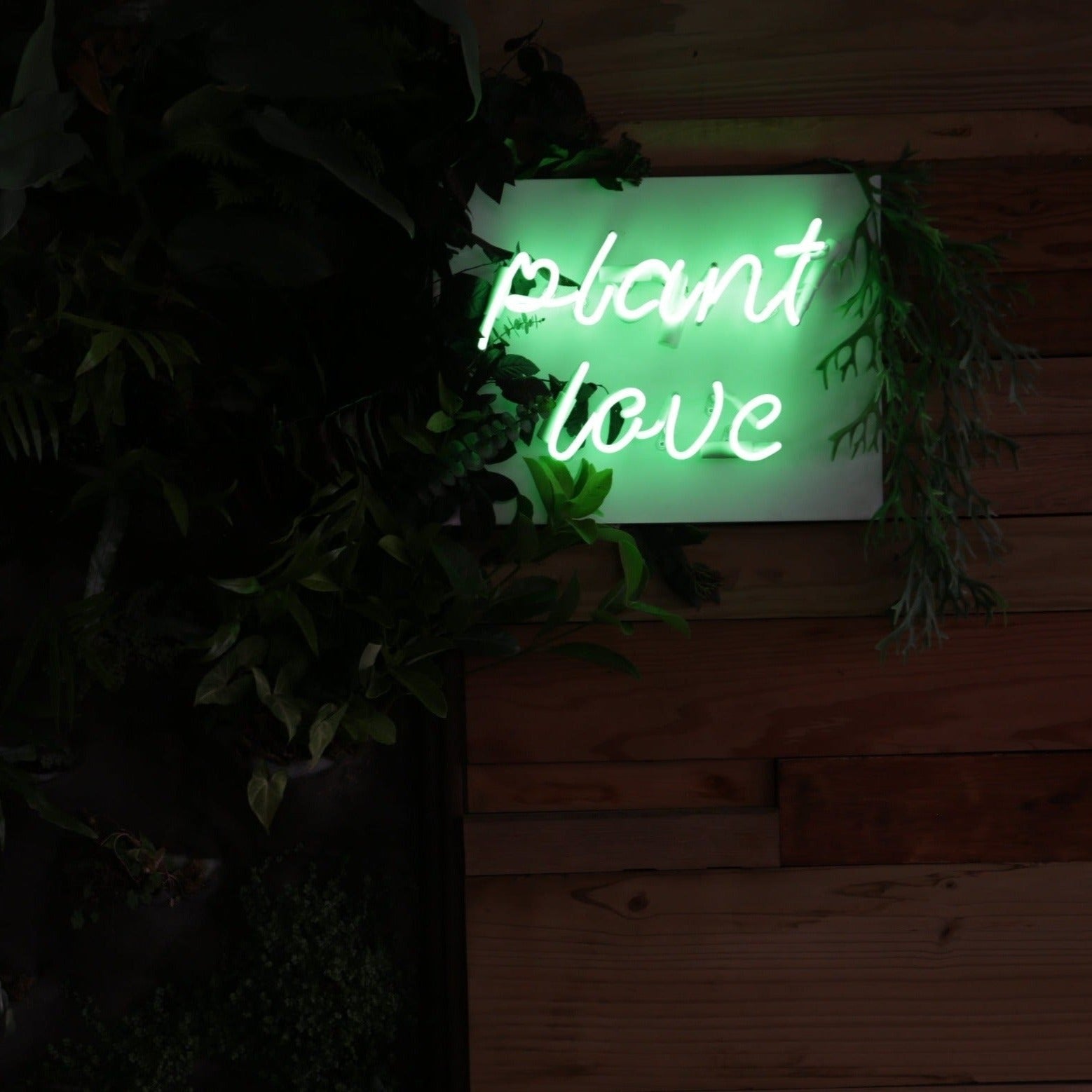 Neon sign rental plant love 