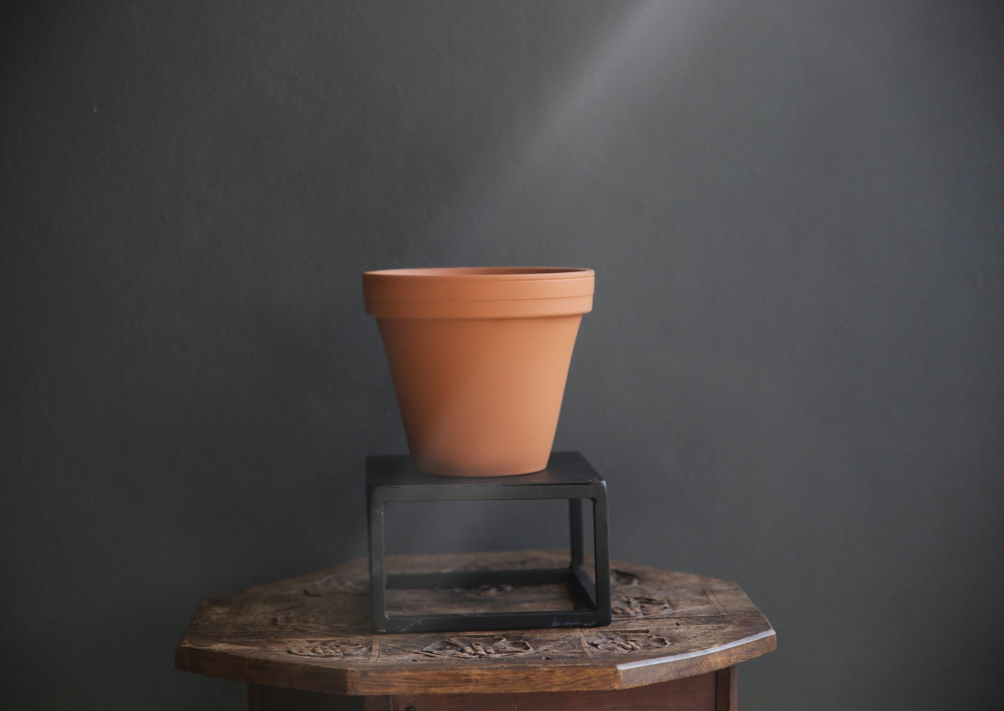 Terracotta Pot Plant for Kitchen Garden