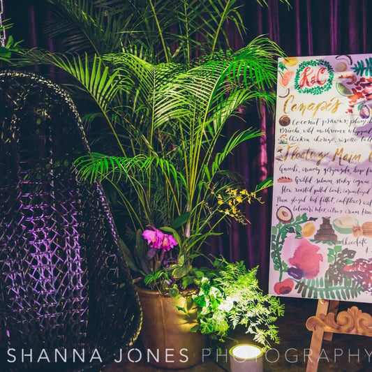 Rental - Pots & Plants