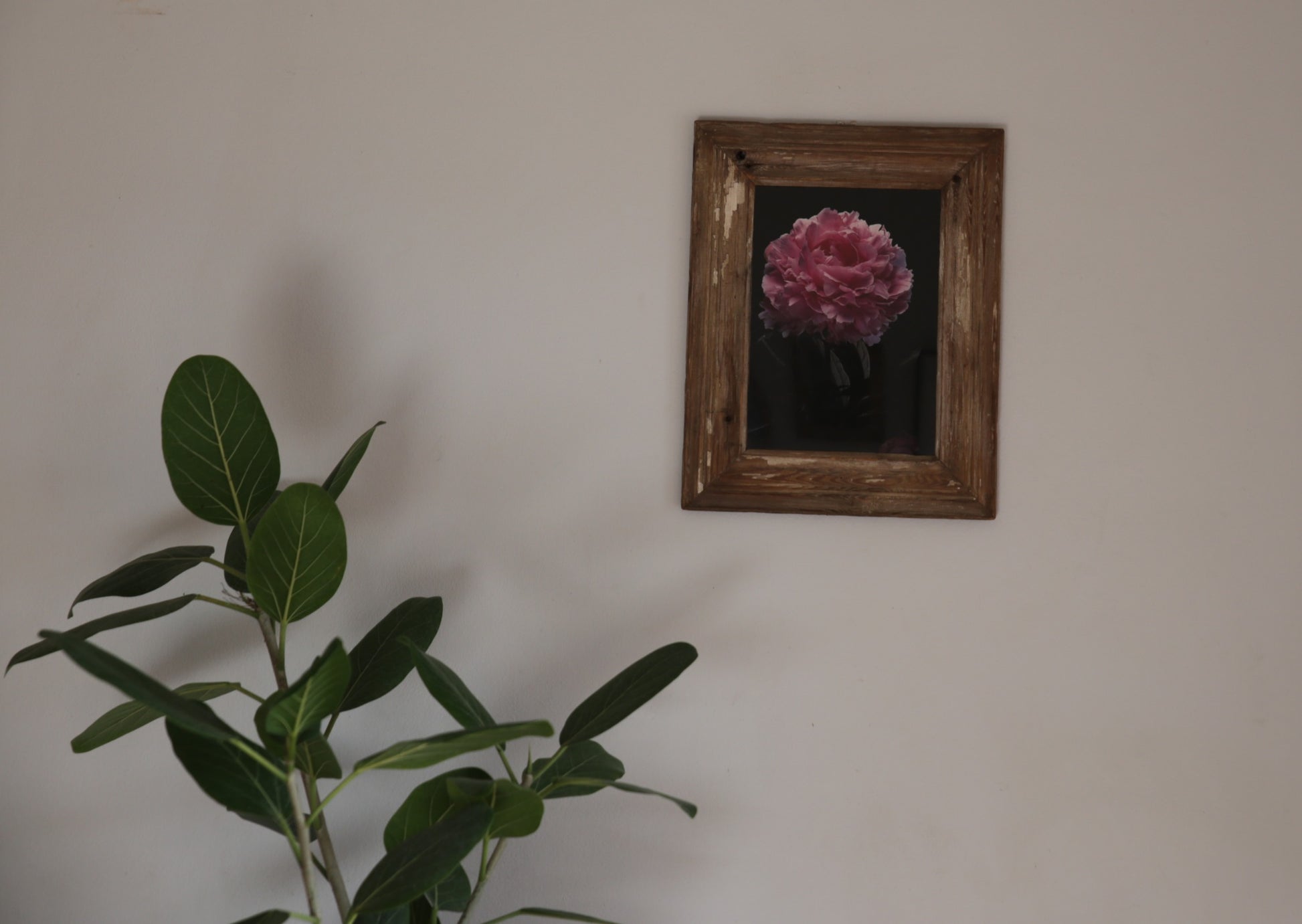 Distressed Wooden Frame with Pink Flower & Black Print