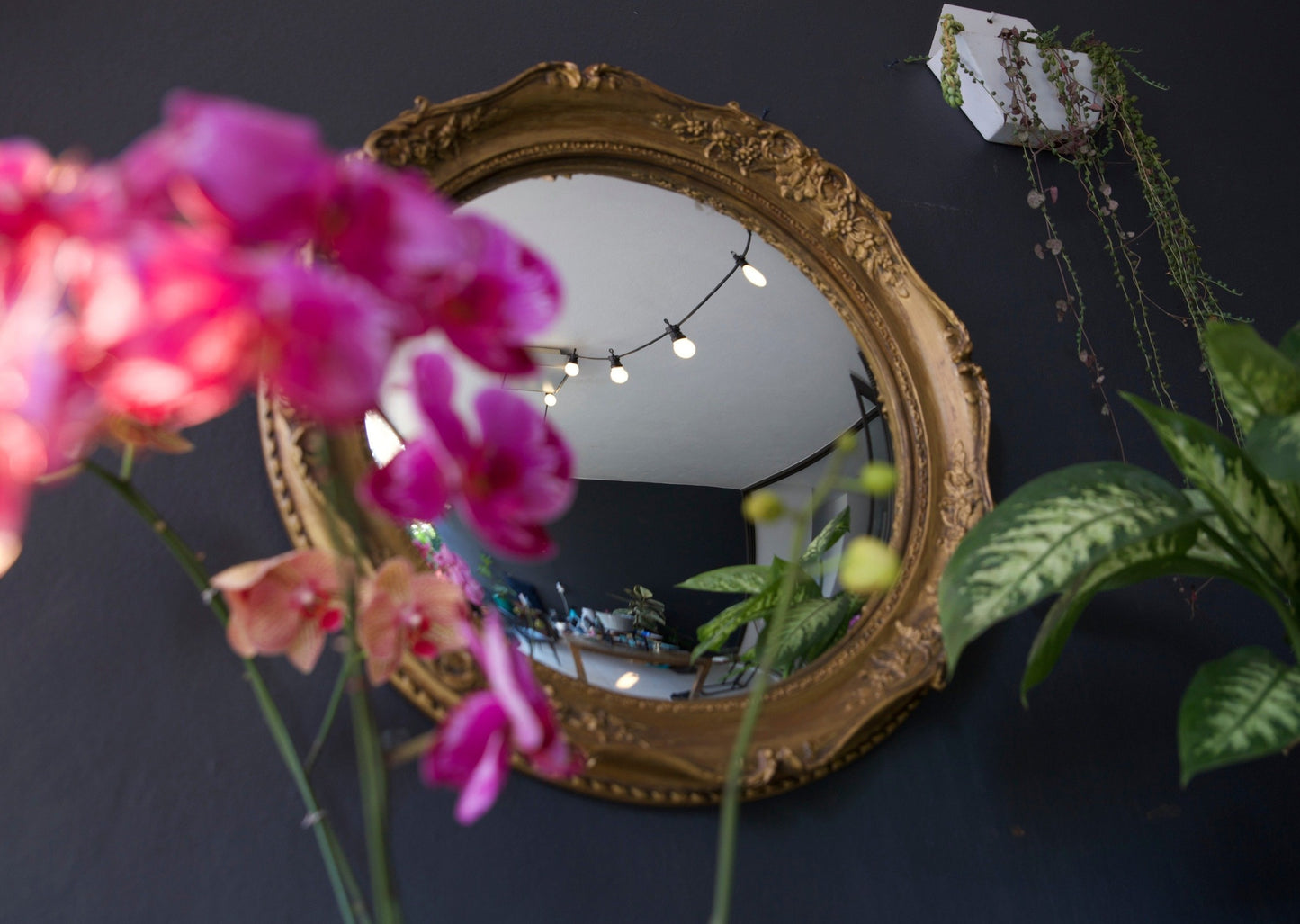 Vintage Molded Mirror Frame with Convex Exit Fisheye Mirror Upcycled