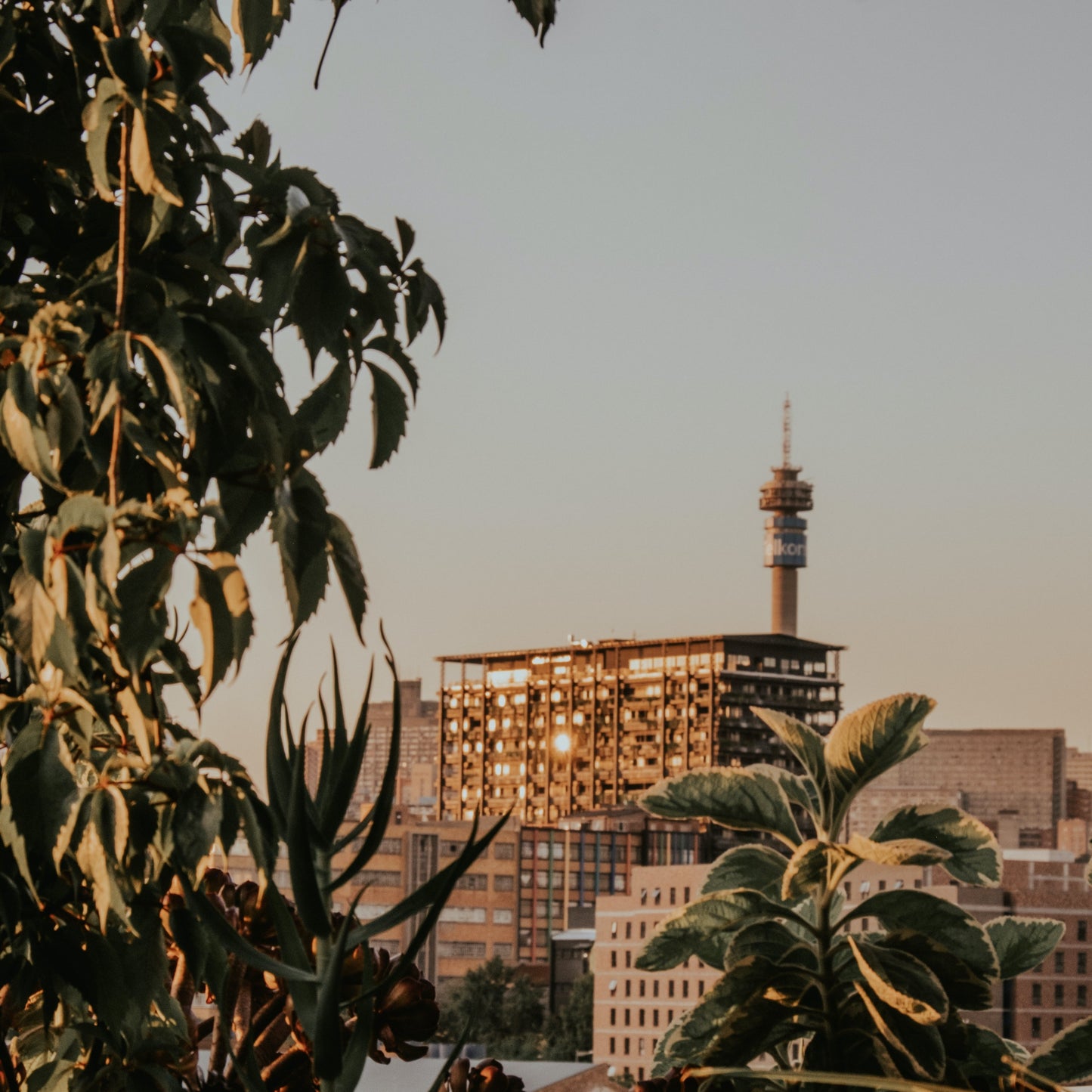 Urban Landscaping