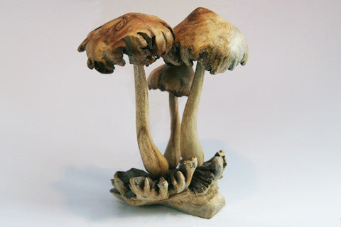 Carved Wooden Mushrooms