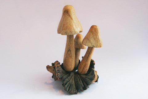 Carved Wooden Mushrooms