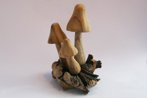 Carved Wooden Mushrooms