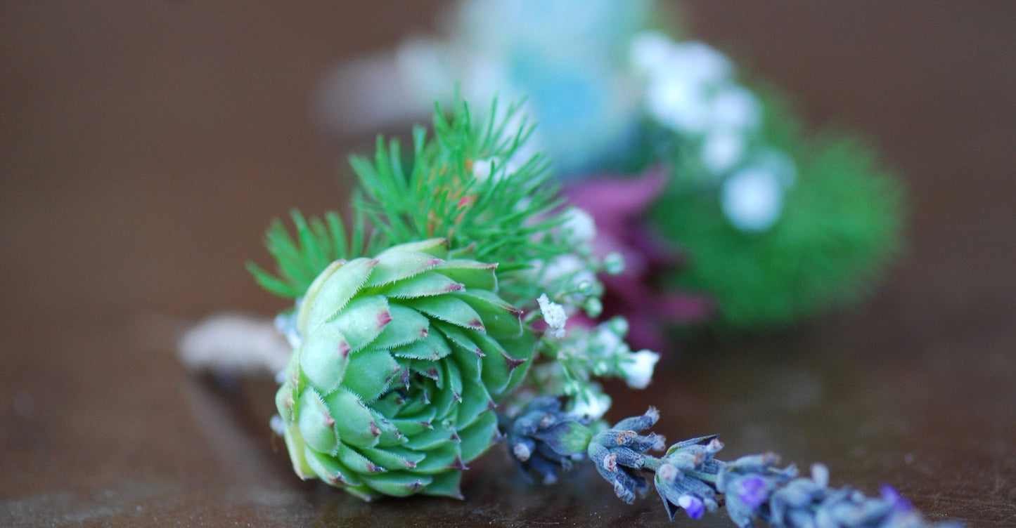 Succulent Boutonniere