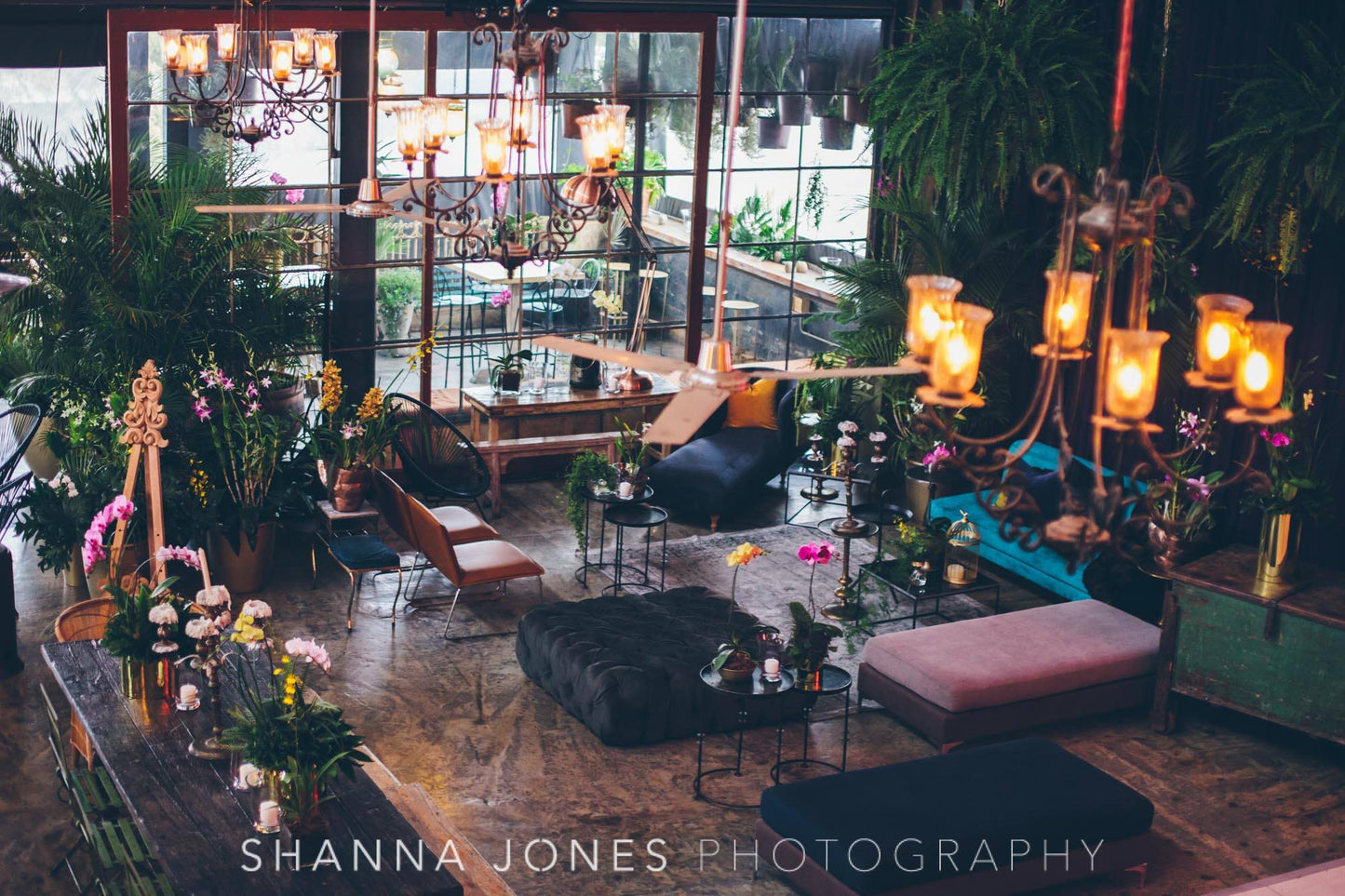 Lush Jungle Wedding