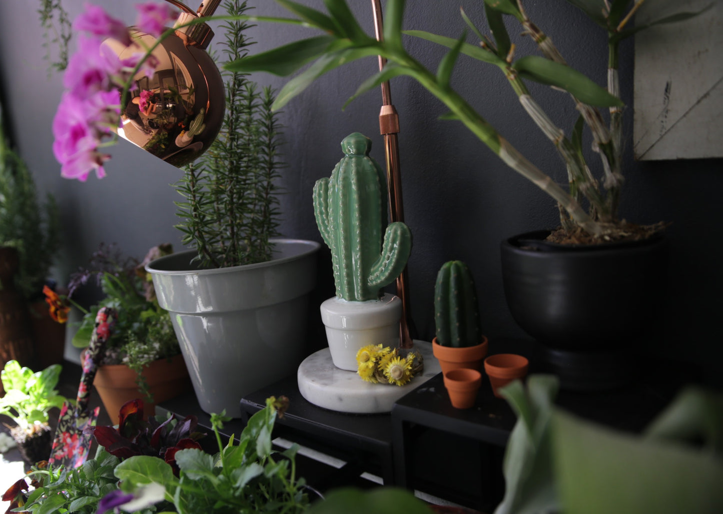 Ceramic Cactus and Pot plant White and Green  