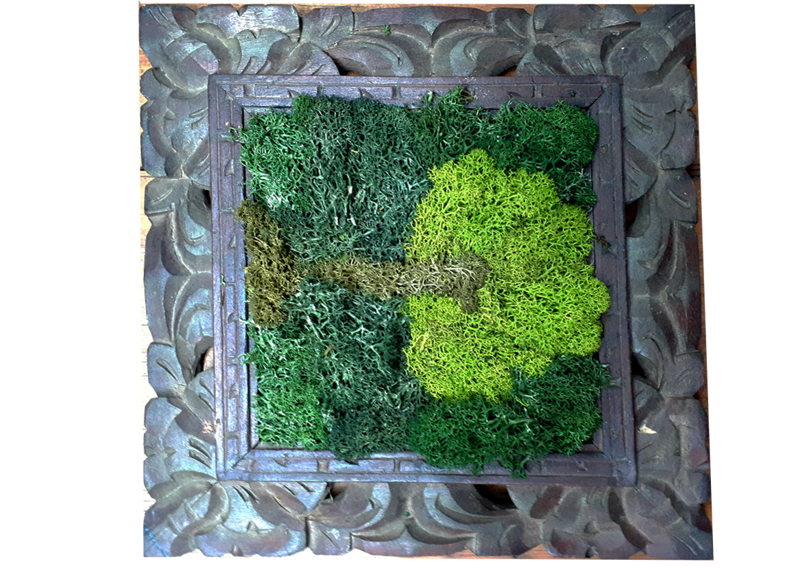 Moss picture frame