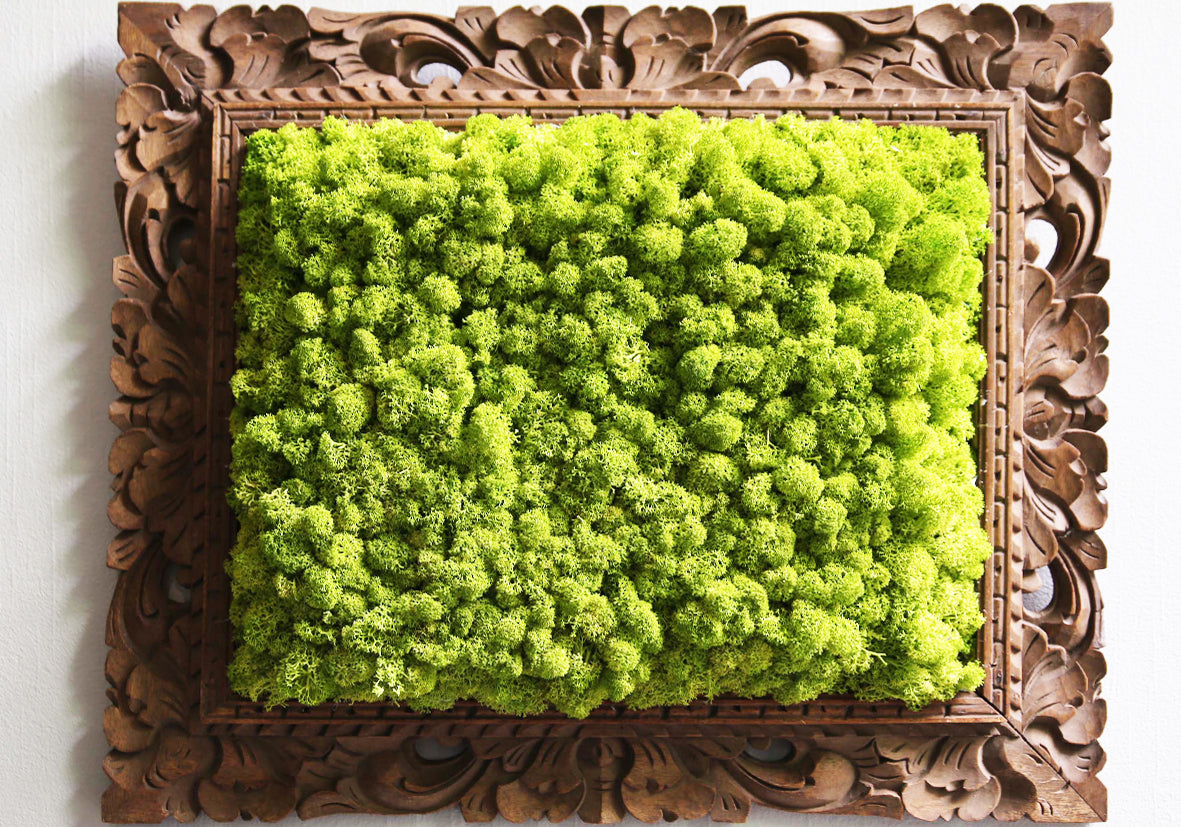 Moss picture frame