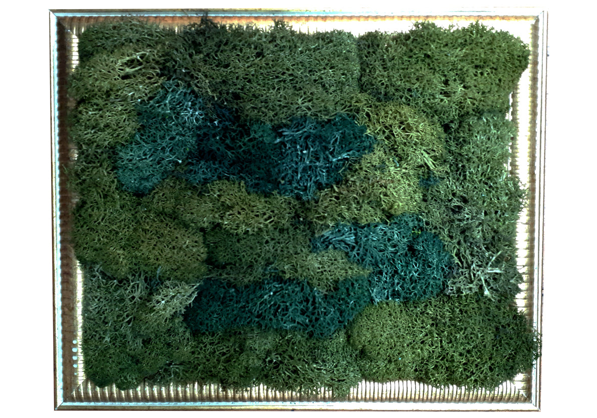 Moss picture frame