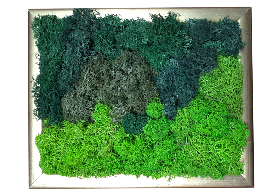 Moss picture frame