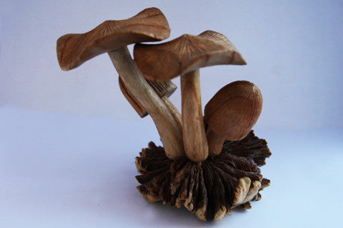 Carved Wooden Mushrooms