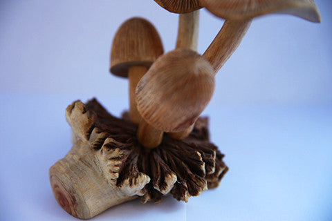 Carved Wooden Mushrooms