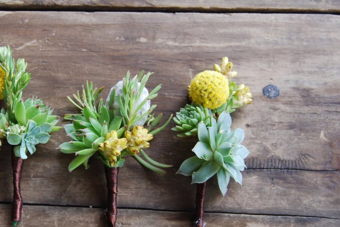 Succulent Boutonniere